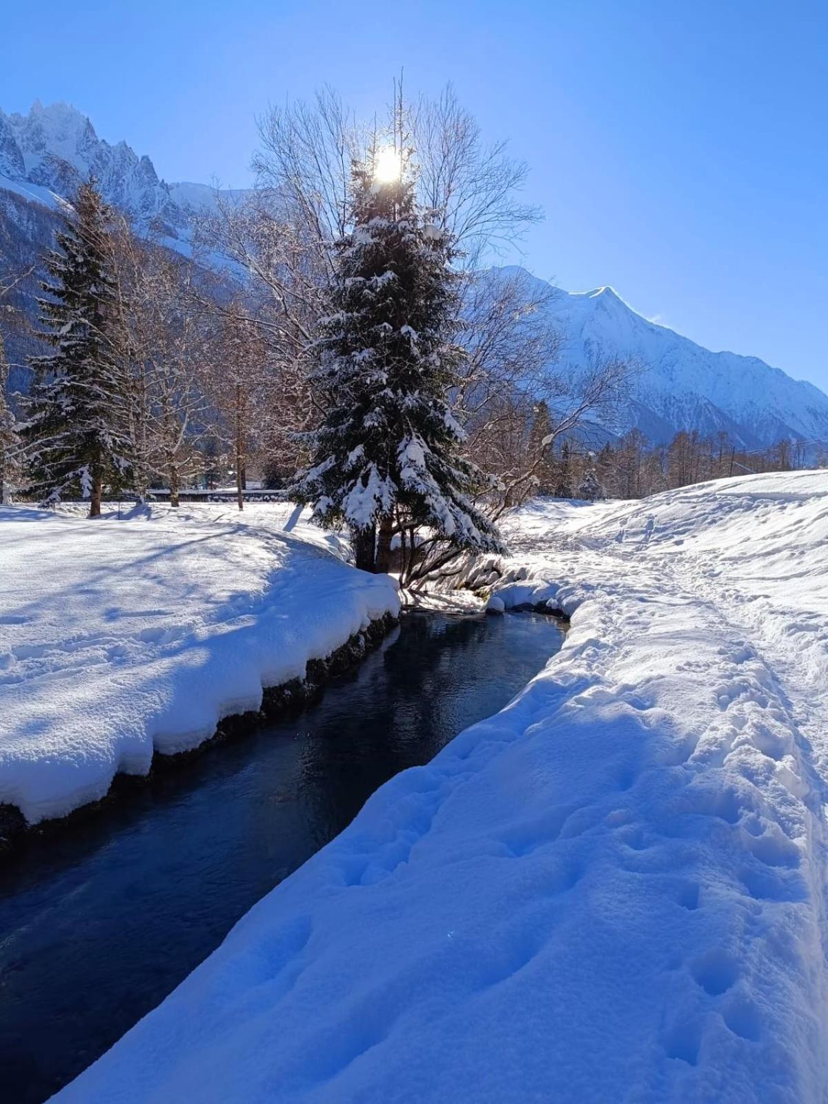 Appartement Chamonix Montblanc 1 A 4 Personnes Ngoại thất bức ảnh